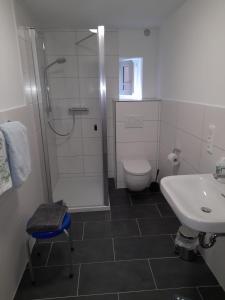een badkamer met een douche, een wastafel en een toilet bij Ferienwohnung Deuerling in Nurn