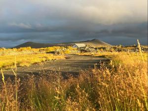 a dirt road in the middle of a field at Slow Travel Mývatn - Þúfa - Private Homestay in Myvatn