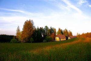 a field with a house in the middle of a field at Well Ranch in Edelschrott