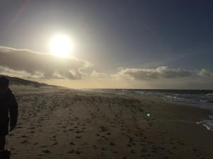 Afbeelding uit fotogalerij van Wattblick in Rantum