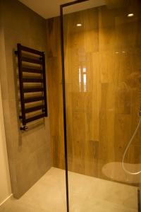 y baño con ducha y puerta de cristal. en J. Ralio apartamentai, en Vilna