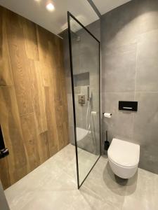 uma casa de banho com um WC e uma cabina de duche em vidro. em J. Ralio apartamentai em Vilnius