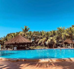 een groot zwembad met palmbomen op de achtergrond bij Flat no Pontal do Lago in Caldas Novas