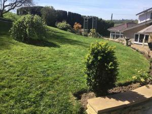 einen Hof mit grünem Gras und zwei Büschen in der Unterkunft Bens Hollow with hot tub in Bredon