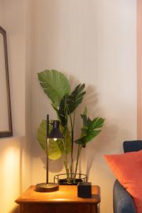 a plant sitting on top of a table at Marina Zeas apartment by the sea in Piraeus