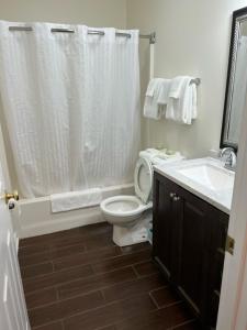 a bathroom with a toilet and a sink and a shower at Eastside Suites in Lynchburg