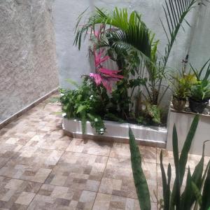een tuin met planten in een hoek van een gebouw bij Cantinho da Praia in Arraial do Cabo