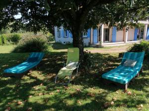dos sillas azules y verdes sentadas bajo un árbol en LOU GRAOU CHEPRE gîte d'étape en Chandon