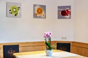 Foto dalla galleria di Apart Joachim a Fügen