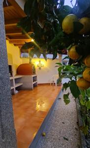 a living room with a pomegranate tree in a room at Casa do Avô Horácio in Carreço