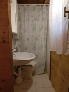 a bathroom with a toilet and a sink and a shower curtain at Le sorgenti - Chalet 42 in Palazzuolo sul Senio