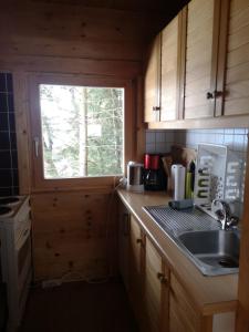 una pequeña cocina con fregadero y ventana en Walters Hütte en Tulfes