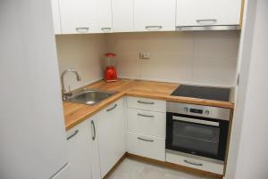 Kuchyň nebo kuchyňský kout v ubytování Apartment Barcelona Zemun Belgrade