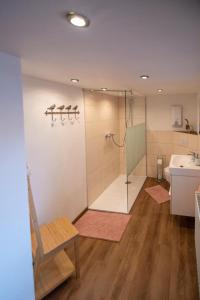 a bathroom with a shower and a toilet and a sink at Ferienhaus Nepomuk in Lauterecken