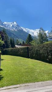 een tuin met een heg en bergen op de achtergrond bij Belle Vue Des Praz in Chamonix-Mont-Blanc