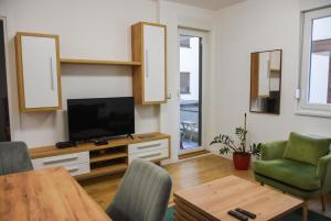TV a/nebo společenská místnost v ubytování Apartment Barcelona Zemun Belgrade