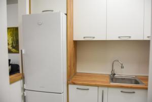 Kuchyň nebo kuchyňský kout v ubytování Apartment Barcelona Zemun Belgrade