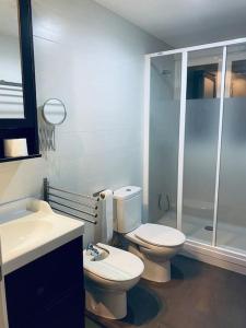 a bathroom with a toilet and a sink and a shower at Apartamento centro de Granada 2 in Granada +8 photos