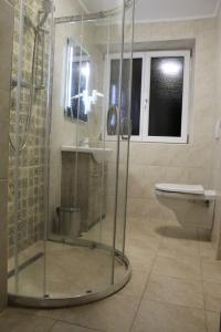 een badkamer met een douche, een toilet en een wastafel bij Eisenerzer Apartmenthaus in Eisenerz