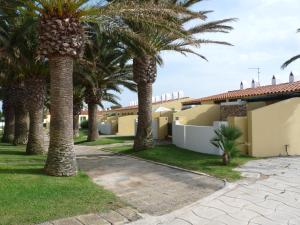 a row of palm trees in front of a house at Apartamento en Calan Blanes, Ciutadella in Cala en Blanes