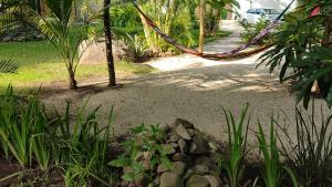 a hammock hanging from a tree in a garden at Sendero extremo in Jalcomulco