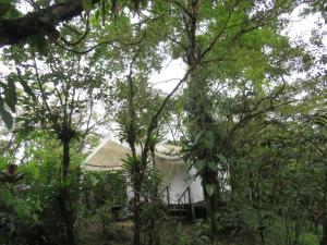 a small white house in the middle of trees at Glamping Rio Celeste Heliconia in San Rafael