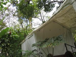 Afbeelding uit fotogalerij van Glamping Rio Celeste Heliconia in San Rafael +42 foto's