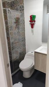 La petite salle de bains est pourvue d'une douche et de toilettes. dans l'établissement Viviendas Turísticas Sara Ángel 1, à Salento