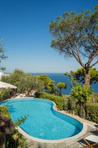 Bazén v ubytování Penthouse Donna Carmela nebo v jeho okolí