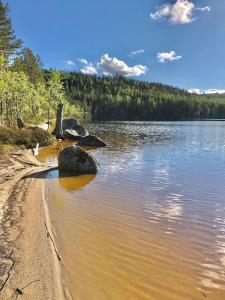 Loodusmaastik puhkemaja lähedal