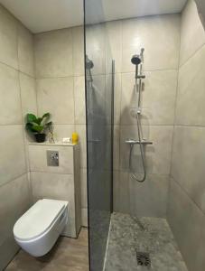 Zdjęcie z galerii obiektu Charmant appartement avec vue exceptionnelle - plein cœur de Lyon w mieście Lyon +3 zdjęcia