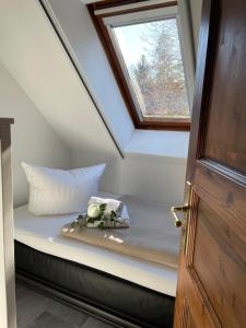 a bed in a room with a window at Luisenhof in Neuglobsow