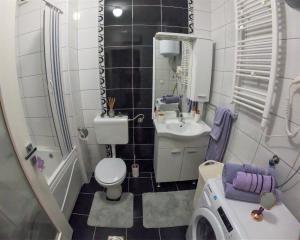 a small bathroom with a toilet and a sink at Apartment Queen 2 in Trebinje +14 photos