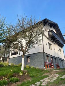 a building with a tree in front of it at Cazare la Mitică in Subcetate