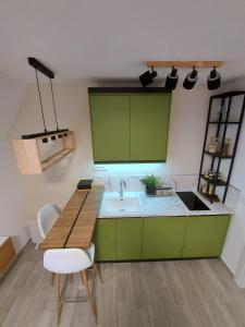 een groene keuken met een wastafel en een tafel bij Sunny Woods Apartment in Divčibare