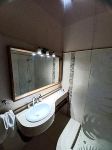 a bathroom with a sink and a mirror and a shower at PORTAL ANDINO in Godoy Cruz