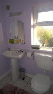 uma casa de banho com um lavatório, um WC e uma janela. em Mulberry Lodge B&B em Westport