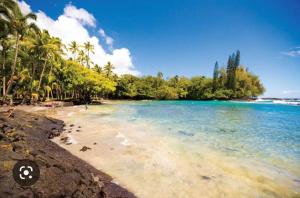 a beach with palm trees and the ocean on a sunny day at Beach Road Hale in Keaau