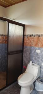 a bathroom with a toilet and a shower at Cabinas El Pilón Río Celeste in San Rafael