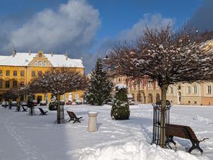 Apartmán VEJPRTY- Apartment WEIPERT durante l'inverno
