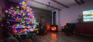 a christmas tree in a living room with a fireplace at Agroturystyka Słoneczny Zakątek in Sokolec