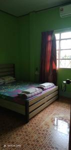 Kota Belud的住宿－Tempasuk Homestay，一间设有床铺的卧室,位于带窗户的绿色客房内