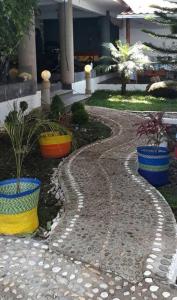 a walkway with pots of plants in a building at Casa de Campo La Niebla in Tlalnelhuayocan