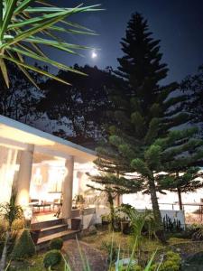 a house with a bench and a tree at night at Casa de Campo La Niebla in Tlalnelhuayocan