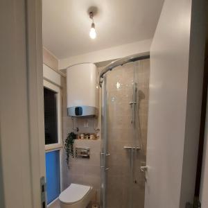 een badkamer met een douche, een toilet en een wastafel bij Sunny Woods Apartment in Divčibare