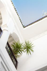 - une vue sur le plafond d'un bâtiment avec des plantes dans l'établissement Riad Dar Beldia and Spa, à Marrakech