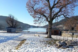 a snow covered park with a tree and a lake at Cocooning chez Corinne , Gérardmer in Gérardmer