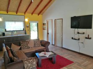 - un salon avec un canapé et une télévision dans l'établissement Cabaña Hijuela Colga, à Villarrica