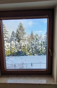Príroda v okolí apartmánu