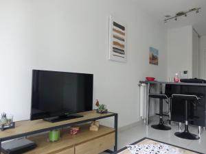 Un televizor și/sau centru de divertisment la Appartement moderne 2 pièces avec balcon et WIFI, proche centre Sarzeau et plages - FR-1-639-48